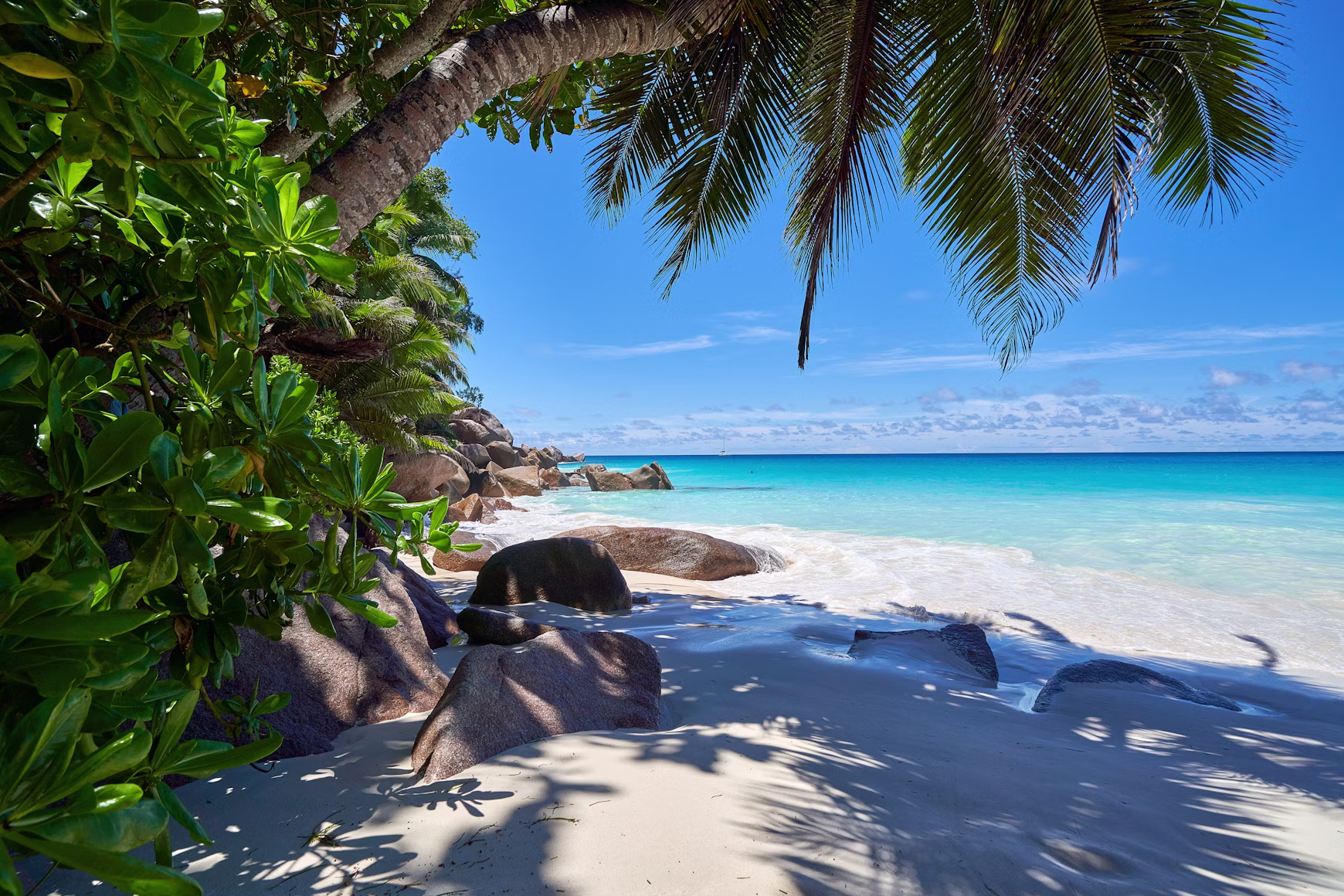 East Africa & Indian Ocean​
